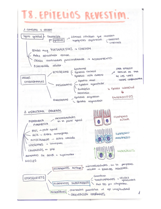 Miniatura del documento TEMA-8-resumen.pdf