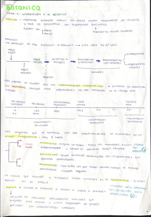 Miniatura del documento Botanica-parcial-I.pdf
