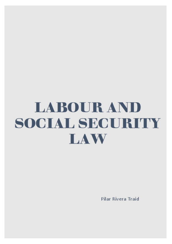 Miniatura del documento labour-and-ss-law.pdf