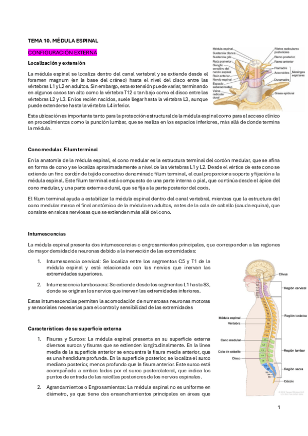 Miniatura del documento Tema-10.pdf