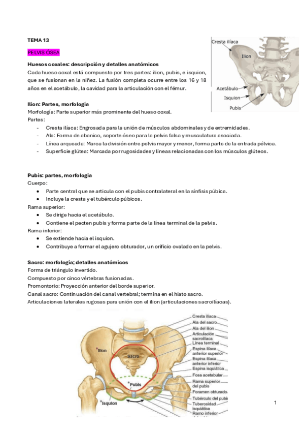 Miniatura del documento Tema-13.pdf