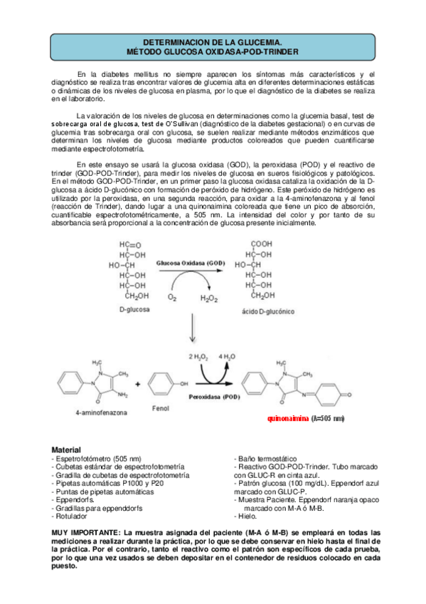 Miniatura del documento GLUCOSA.pdf