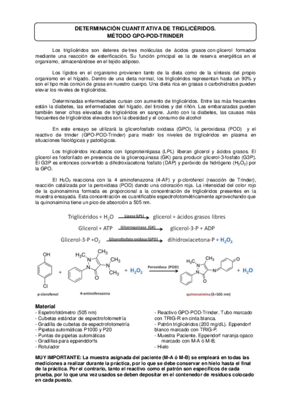 Miniatura del documento TRIGLICERIDOS.pdf