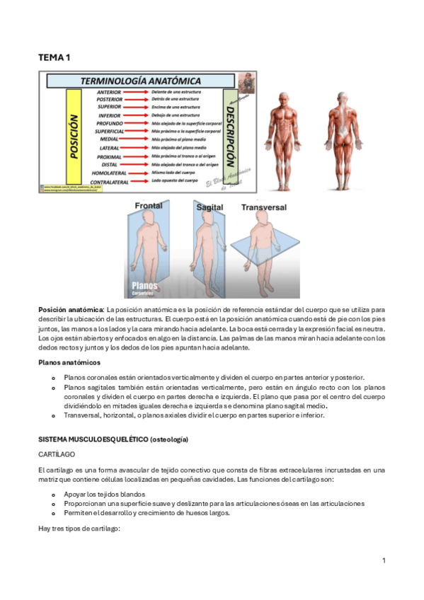 Miniatura del documento Tema-1.pdf