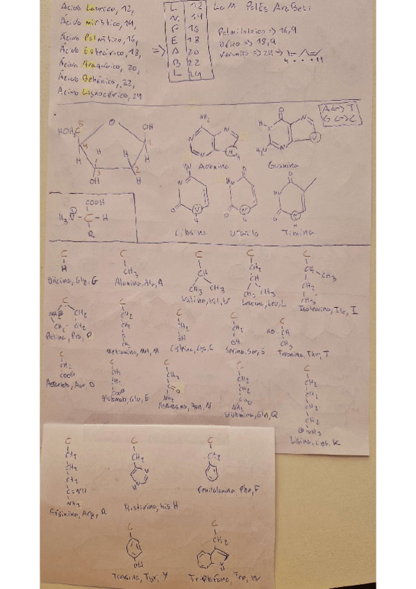 Miniatura del documento Cosas-esenciales-para-la-parte-practica.pdf