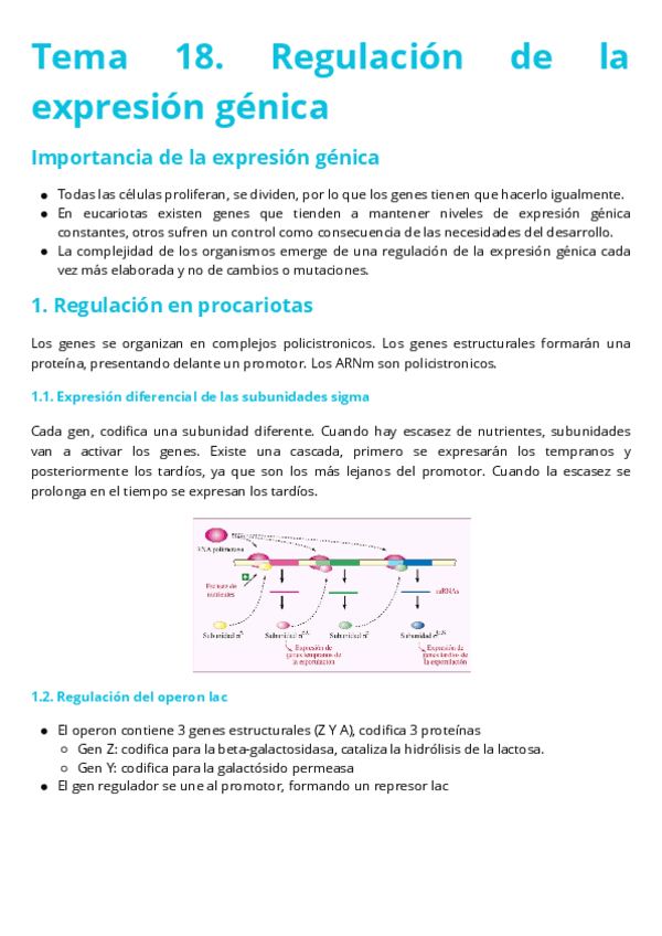 Miniatura del documento Tema-18.-Regulacion-de-la-expresion-genica.pdf