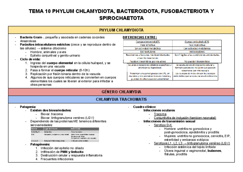 Miniatura del documento TABLAS CHLAMYDIOTA, BACTEROIDOTA....pdf