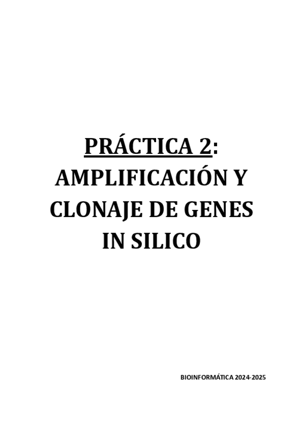 Miniatura del documento INFORME-PRACTICA-2.pdf