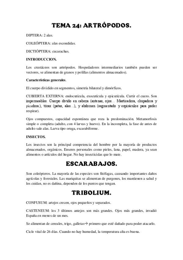 Miniatura del documento TEMA-24.pdf