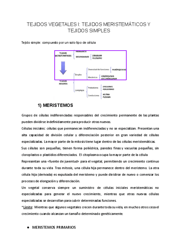 Miniatura del documento TEMA-16-BIOLOGIA-VEGETAL.pdf