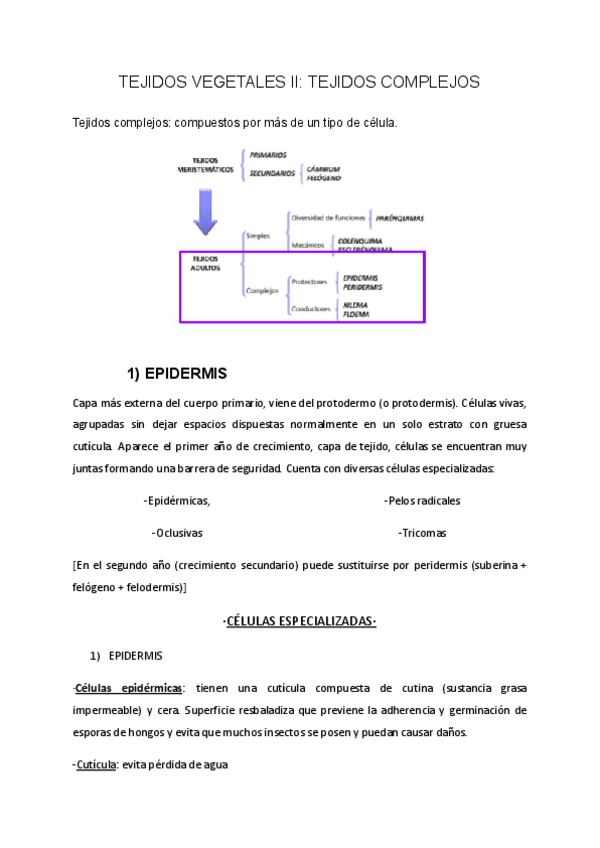 Miniatura del documento TEMA-17-BIOLOGIA-VEGETAL.pdf