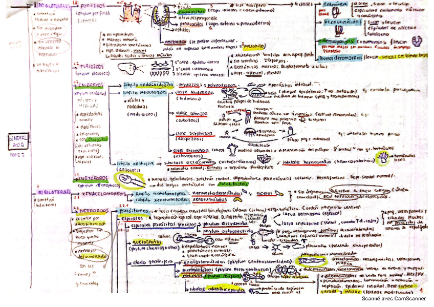 Miniatura del documento Esquemas-generales-Zoo-II-T1-T15.pdf