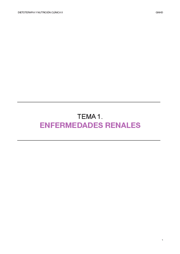 Miniatura del documento TEMA-1.-Enfermedades-renales.pdf