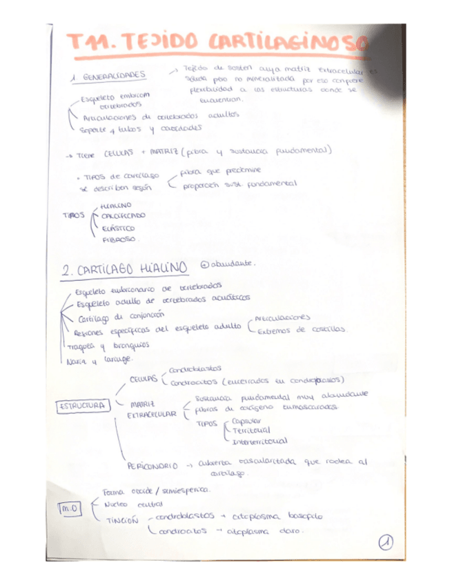 Miniatura del documento tema-11-resumen.pdf