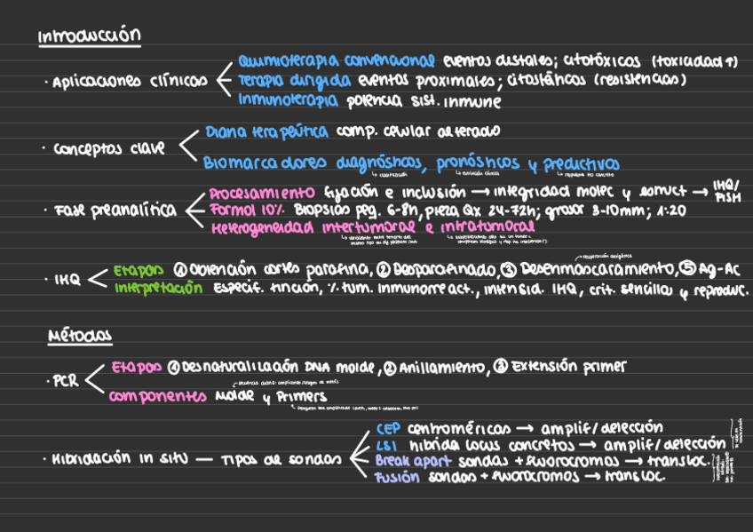 Miniatura del documento Resumen-Final.pdf