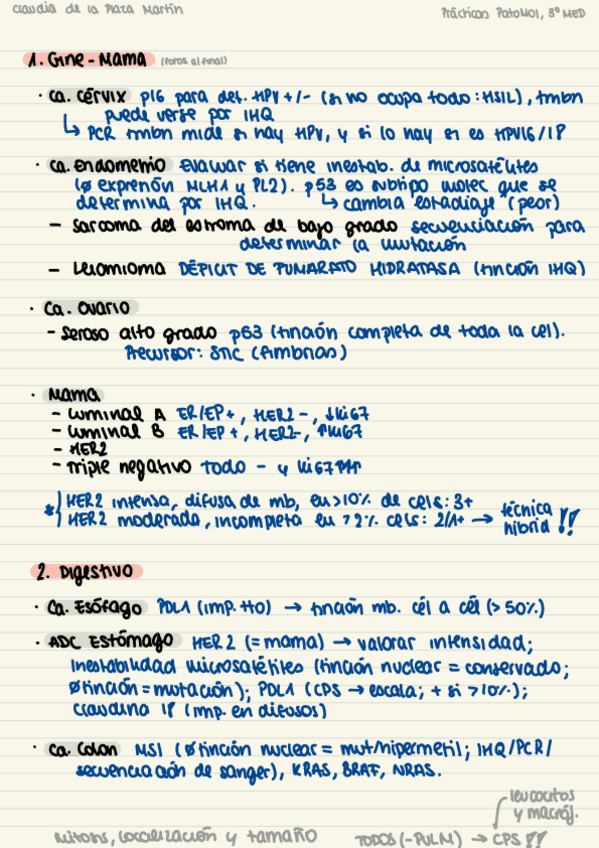 Miniatura del documento Practicas-resumen.pdf