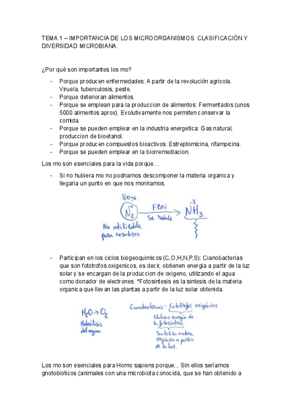 Miniatura del documento Primer-parcial-diversidad.pdf