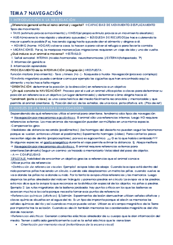 Miniatura del documento TEMA7.PDF