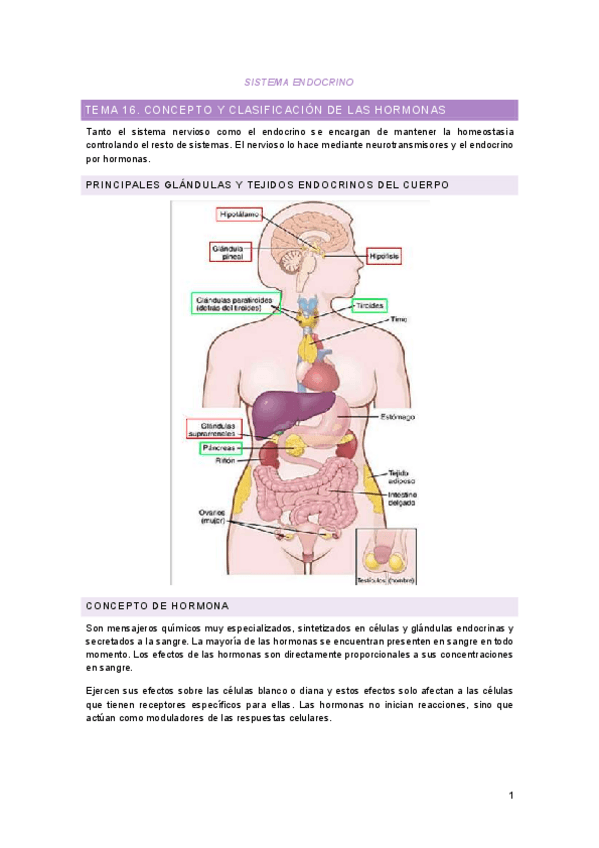 Miniatura del documento Apuntes-Segundo-Parcial-BANYFIS-II-MH.pdf