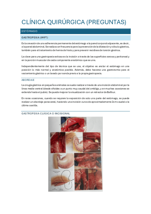 Miniatura del documento PREGUNTAS-CQ-Marta-Altonaga-y-Manolo.pdf