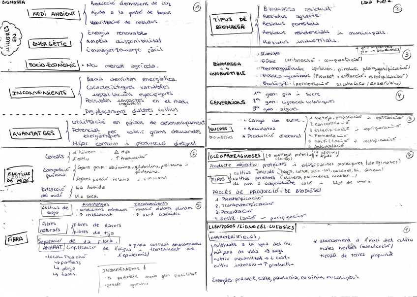 Miniatura del documento esquema-resum-teoria-bua.pdf