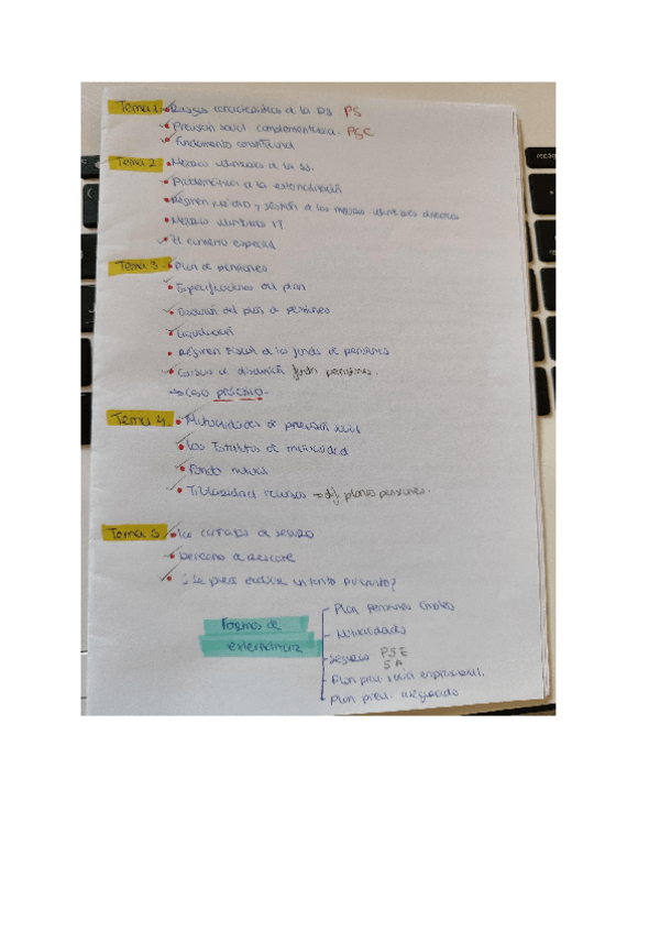 Miniatura del documento Apuntes Prevision.pdf