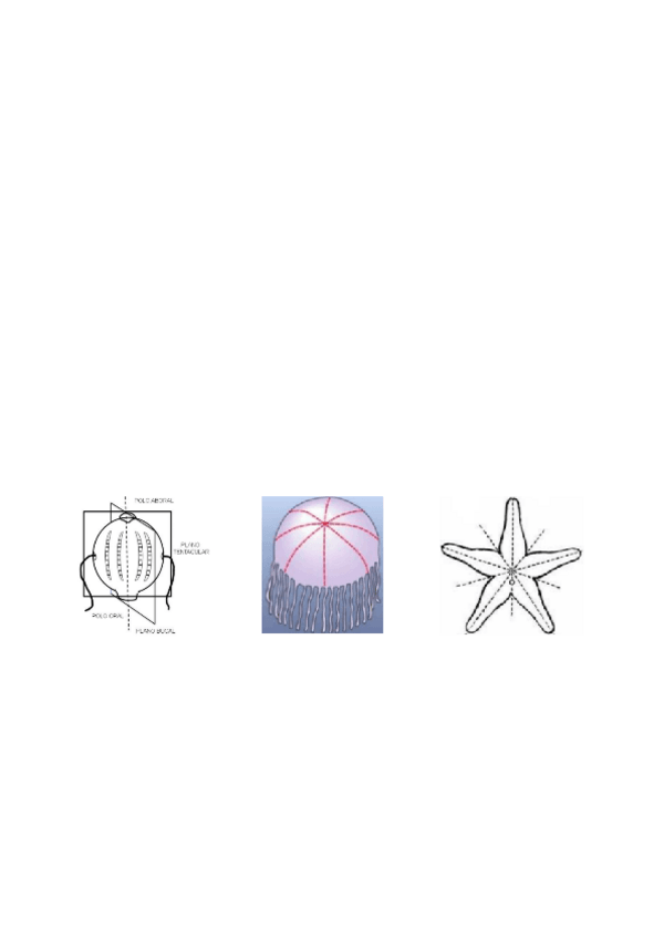 Miniatura del documento 2.2-BOS.pdf