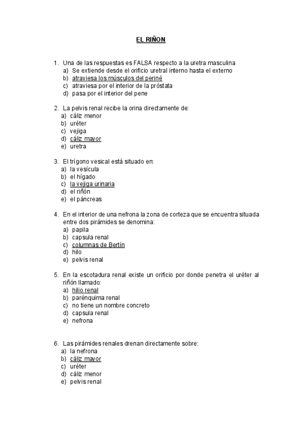 Miniatura del documento EL-RINON.pdf