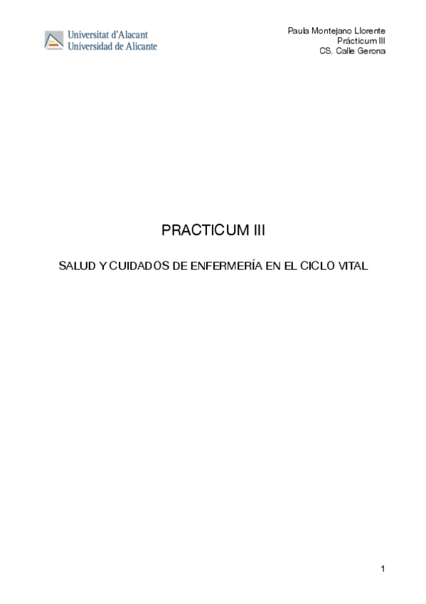 Miniatura del documento practicum-III.pdf