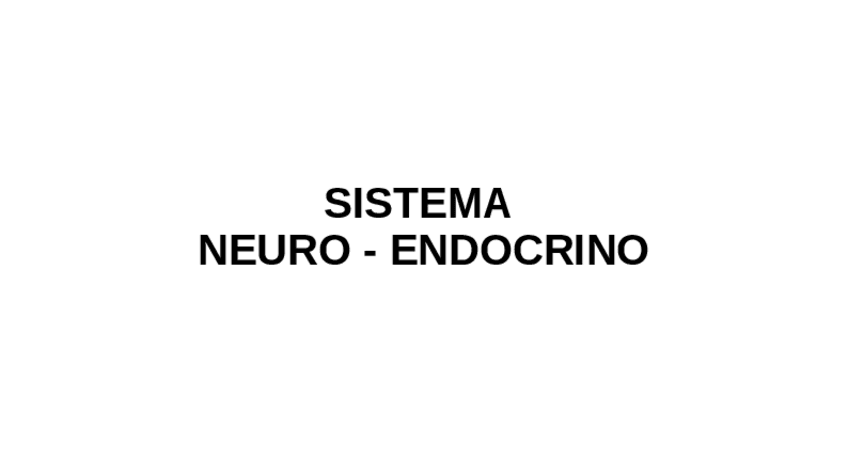 Miniatura del documento 2.Neuroendocrino-imagenes.pdf