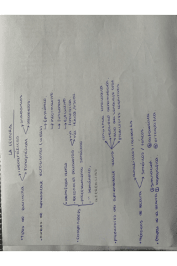 Miniatura del documento La-lectura.pdf