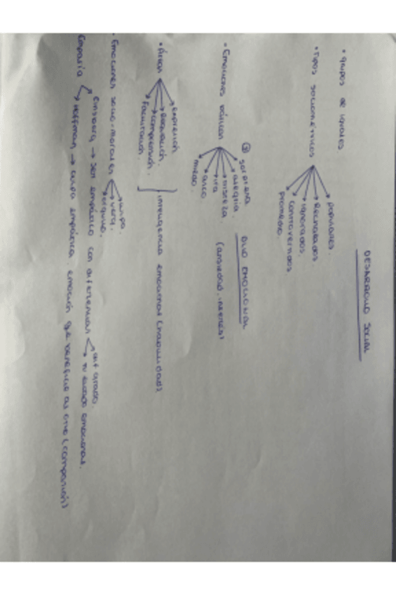 Miniatura del documento Desarrollo-social.pdf
