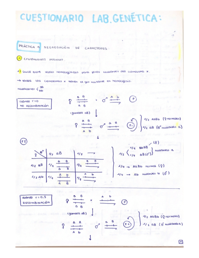 Miniatura del documento CUESTIONARIO-LAB-GENETICA.pdf