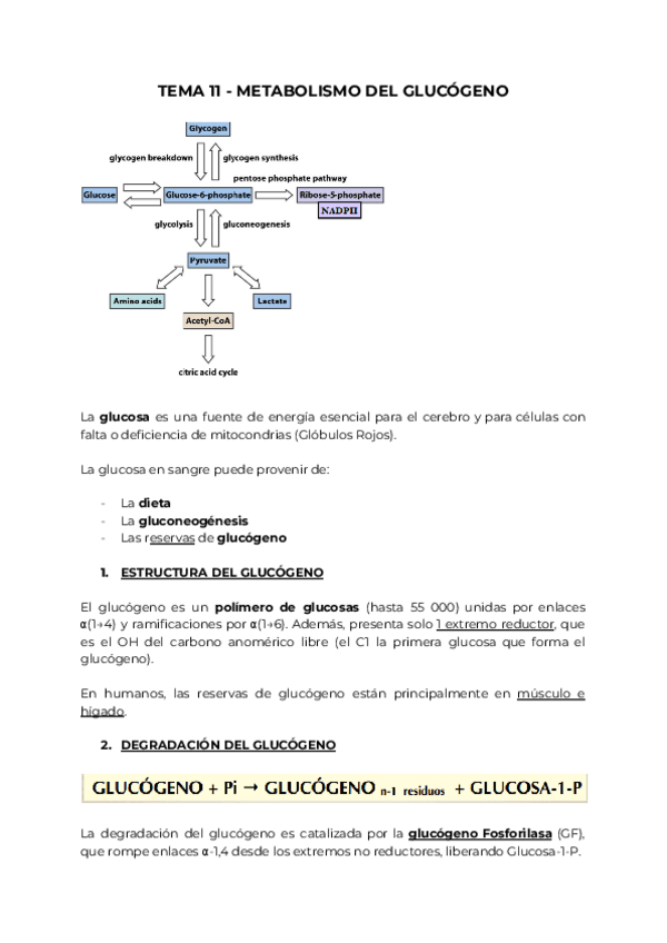 Miniatura del documento BQ-II-PARTE-2.pdf