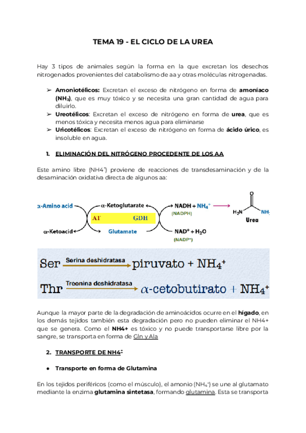 Miniatura del documento BQ-II-PARTE-3.pdf