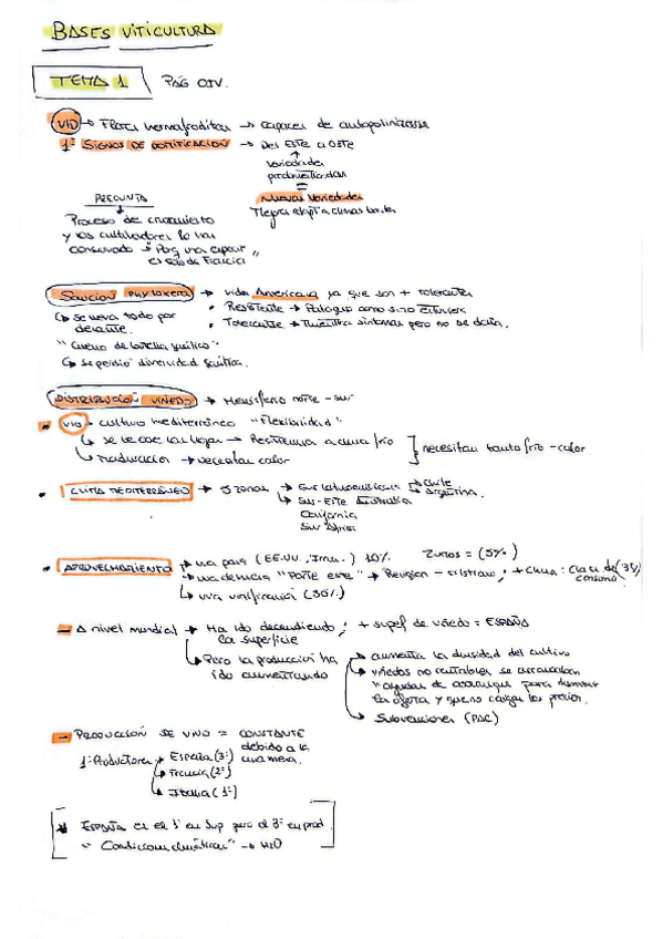 Miniatura del documento Bases-de-la-Viticultura.pdf