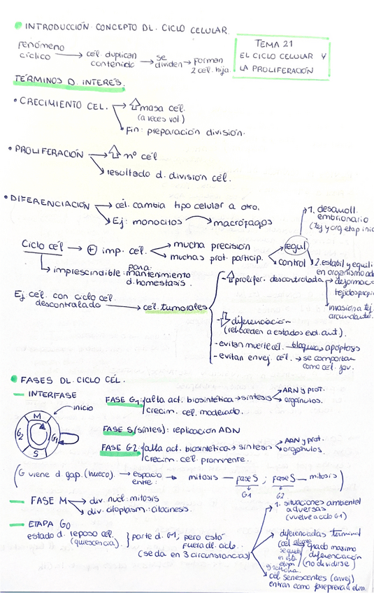 Miniatura del documento TEMA-21-El-ciclo-celular-y-la-proliferacion.pdf