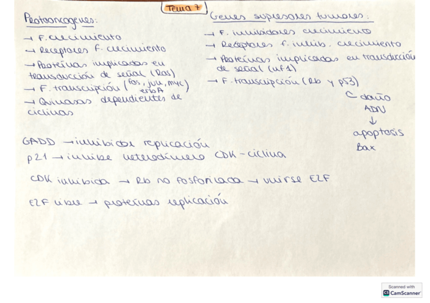 Miniatura del documento Esquemas-repaso-bioquimica.pdf