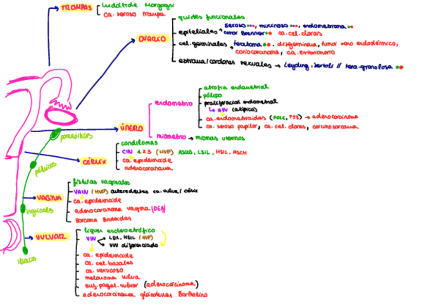 Miniatura del documento Resumen-cancer.pdf