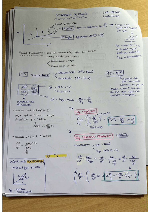 Miniatura del documento RESUM_DEL_RESUM_TERMO.pdf