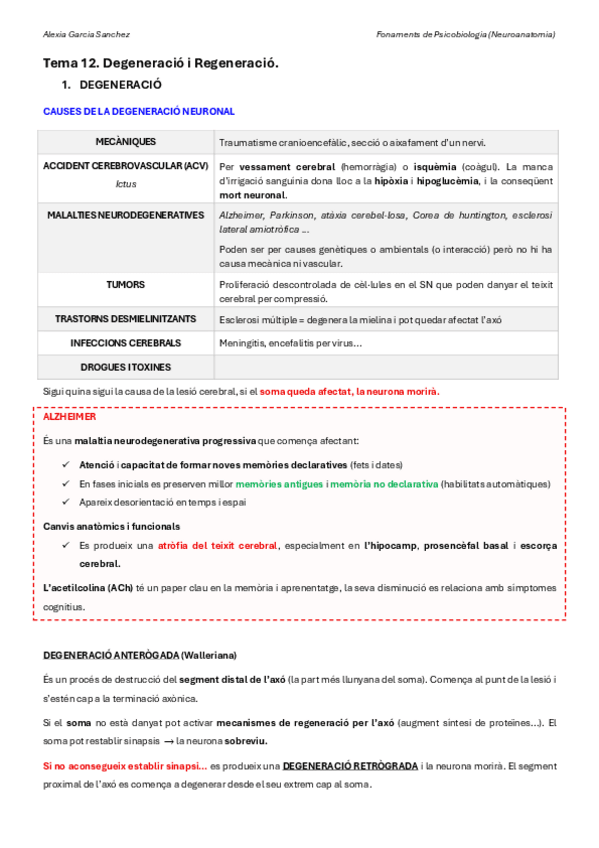 Miniatura del documento T12-NEUROANATOMIA.pdf