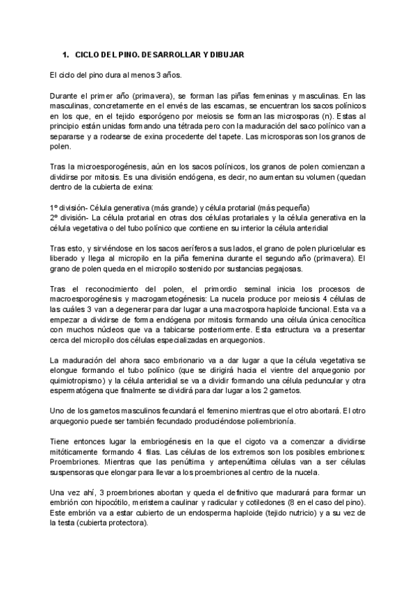Miniatura del documento Preguntas-examen-con-respuestas.pdf
