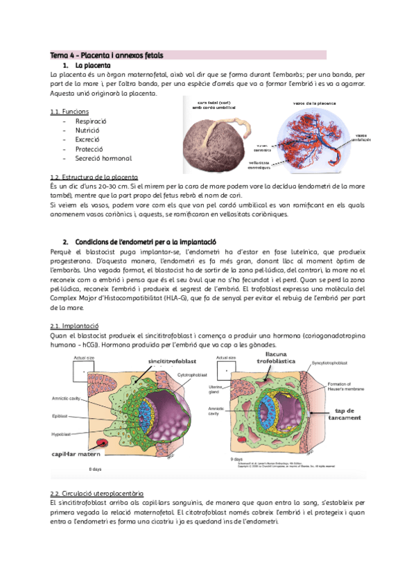 Miniatura del documento Tema-4.pdf