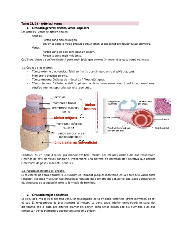 Miniatura del documento Tema-23-i-24.pdf