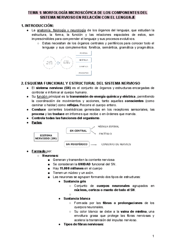 Miniatura del documento TEMA-1-Morfologia-microscopica-de-los-componentes-del-sistema-nervioso-en-relacion-con-el-lenguaje.pdf