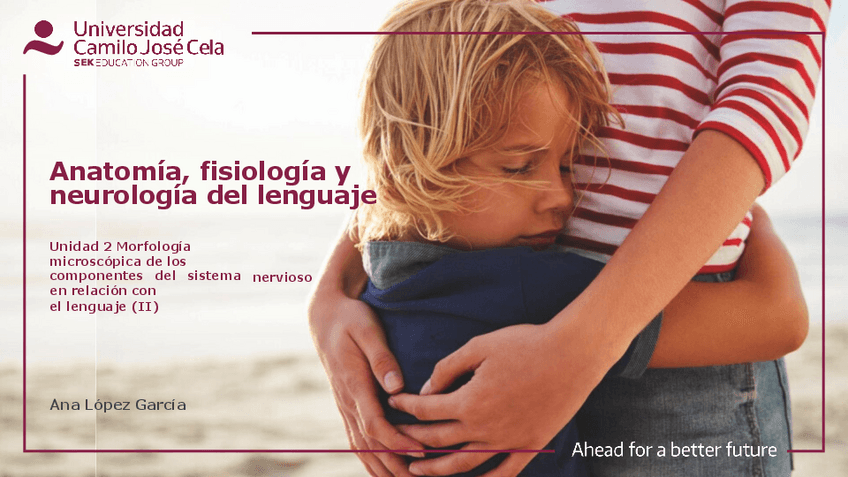 Miniatura del documento SESION-2-PPT-Anatomia.pdf