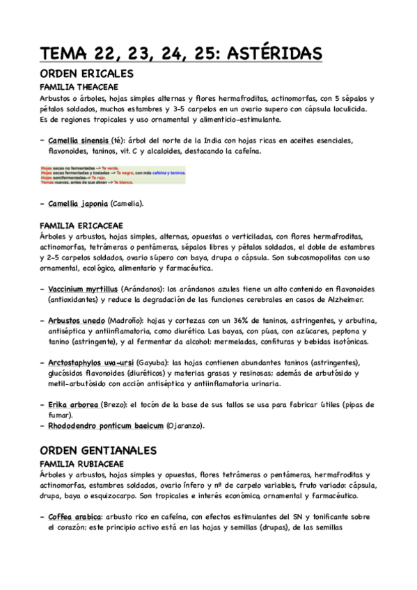 Miniatura del documento TEMA-22-23-24-25-ASTERIDAS.pdf