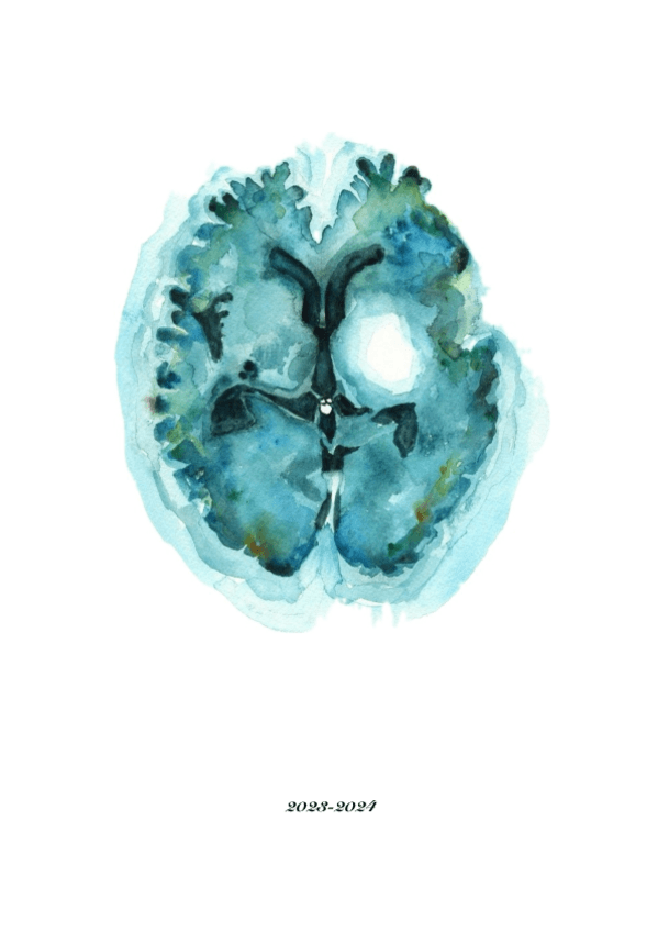 Miniatura del documento Neuroanatomia.pdf