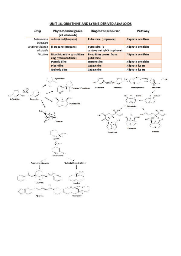 Miniatura del documento 2nd-semester-Phytochemical-groups-and-precursors.pdf