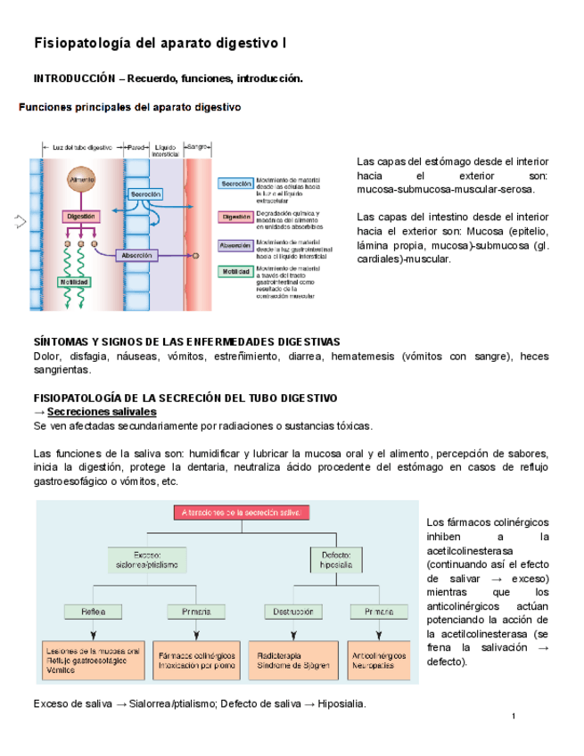 Miniatura del documento FISIOLOGIA-II-digestivo.pdf